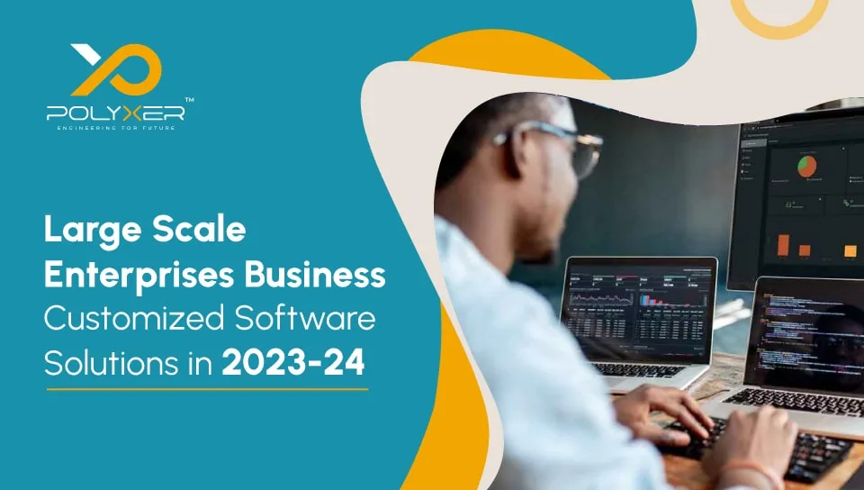 Large Scale Enterprises Business Customized Software Solutions in 2023-24