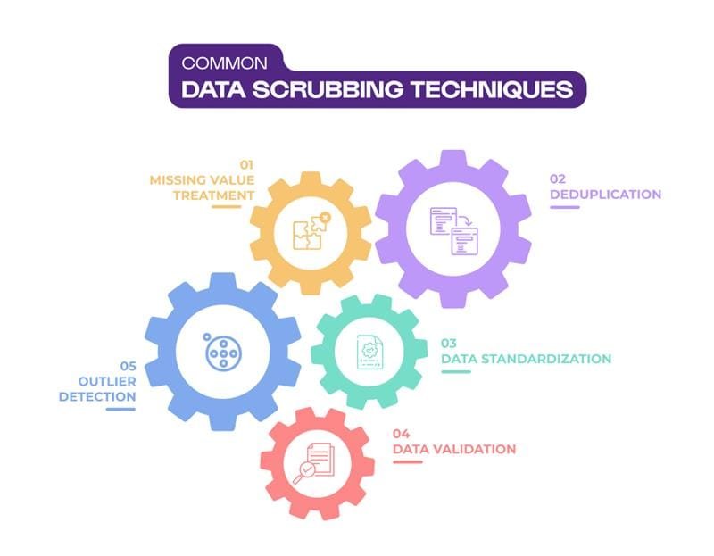Common Data Scrubbing Techniques