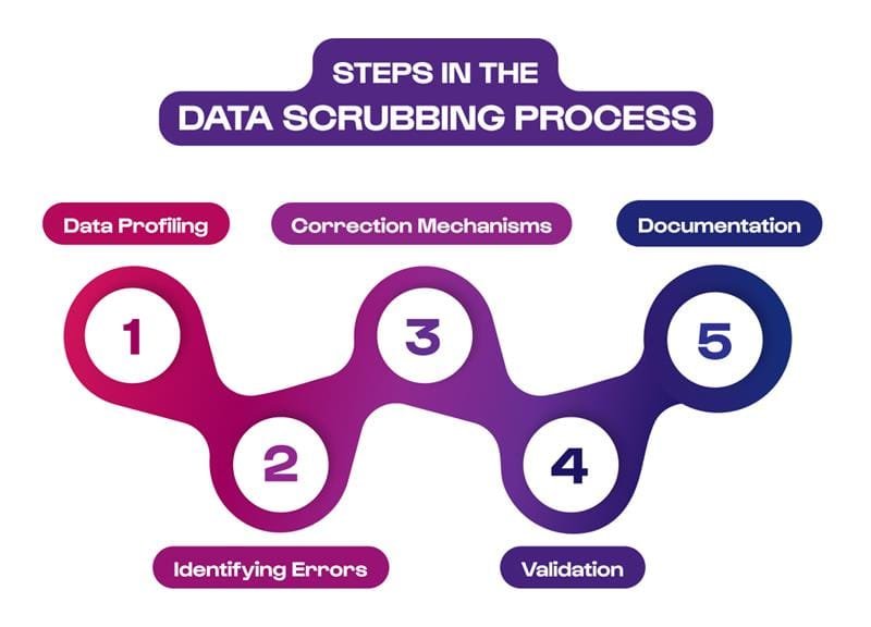 Steps in the Data Scrubbing Process