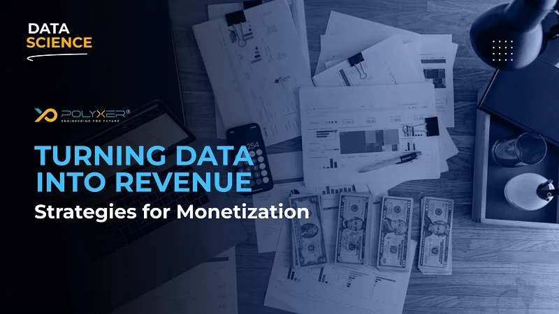 Turning Data into Revenue: Strategies for Monetization